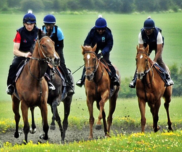 Tom Dascombe Yard Visit