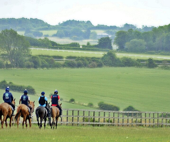 Tom Dascombe Yard Visit