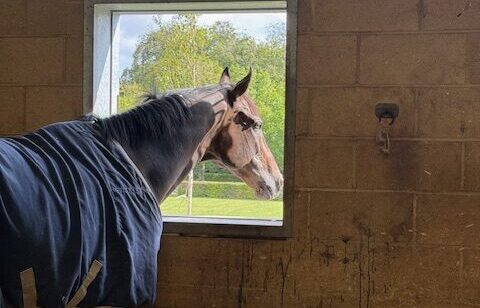 Charlie Hills Yard Visit