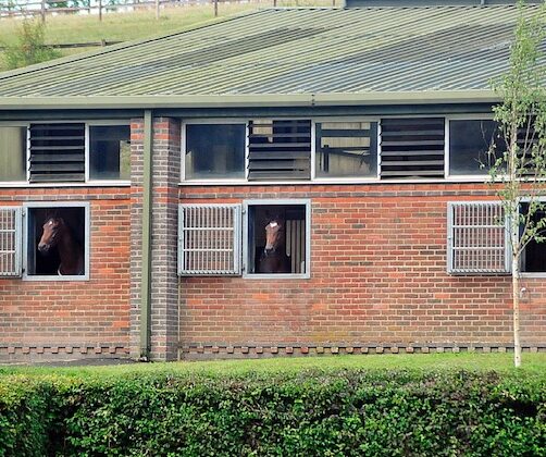 Charlie Hills yard Visit