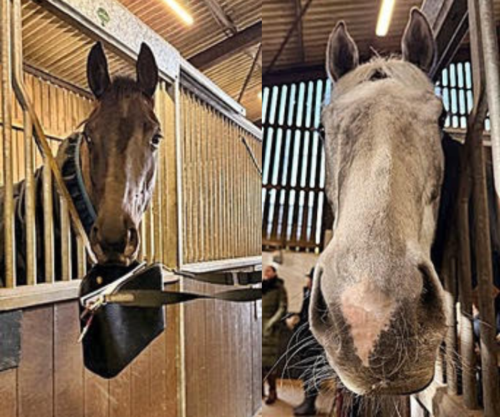 2 Mysterland ans Swindon Village